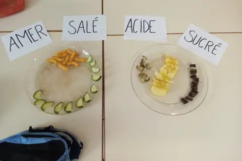 Plats avec des aliments pour un jeu du goût adulte : amer (chips, concombre), salé (chips), acide (citron), sucré (chocolat).