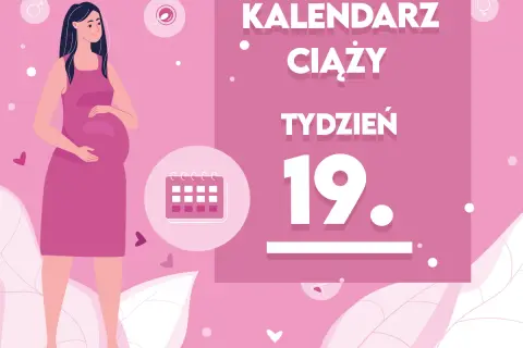 Kobieta w 19. tygodniu ciąży, z brzuszkiem. Obok kalendarz i napis "Kaledarz ciąży tydzień 19".