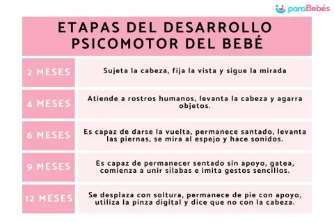 Tabla que detalla el desarrollo del bebé mes a mes, desde los 2 hasta los 12 meses, cubriendo hitos psicomotores.