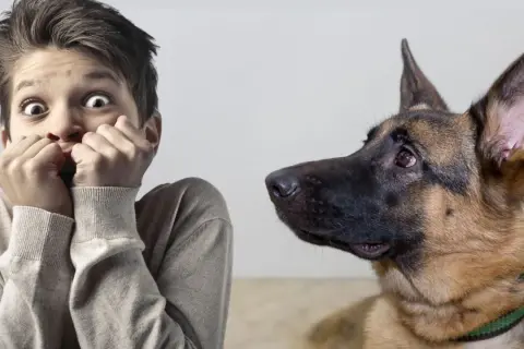 Un niño asustado mira a un perro. Aprende cómo quitar el miedo a un perro a las personas con paciencia y confianza.