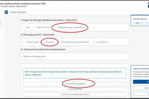 Jak sprawdzić zadłużenie firmy? Przewodnik krok po kroku (KRZ, KRD, KRS)