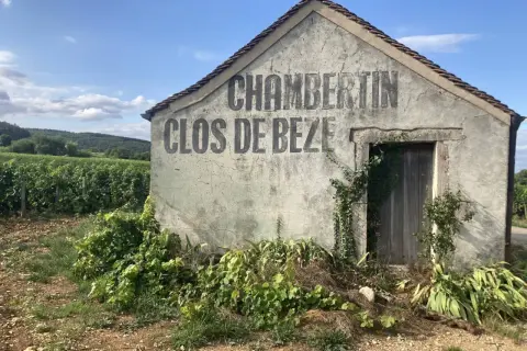 Vecchio casotto in pietra con scritta "CHAMBERTIN CLOS DE BEZE" sbiadita, circondato da vigneti rigogliosi sotto un cielo azzurro.