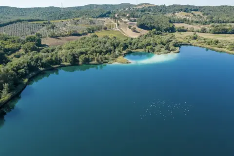 Il **lago dell'Accesa** brilla sotto il sole, circondato da colline verdi e uliveti. Un gruppo di uccelli bianchi danza sull'acqua.