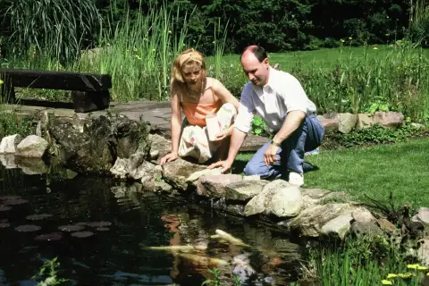 Ein Paar füttert eine seltene albino Forelle in einem Teich.