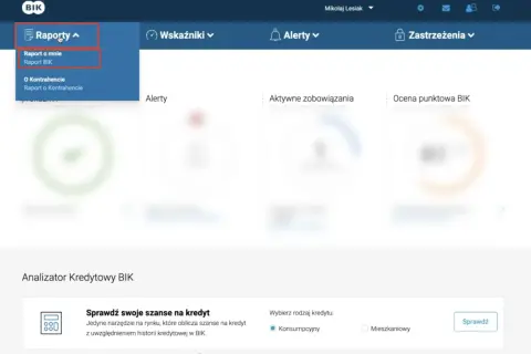 Menu "Raporty" z rozwiniętą opcją "Raport BIK".