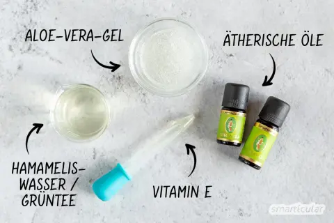 Zutaten für ein erfrischendes Aloe Vera Spray: Aloe Vera Gel, Hamameliswasser/Grüntee, ätherische Öle und Vitamin E.