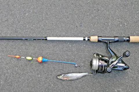 Angelrute mit Rolle, Pose und einem kleinen Fisch, bereit für den Zanderfang.