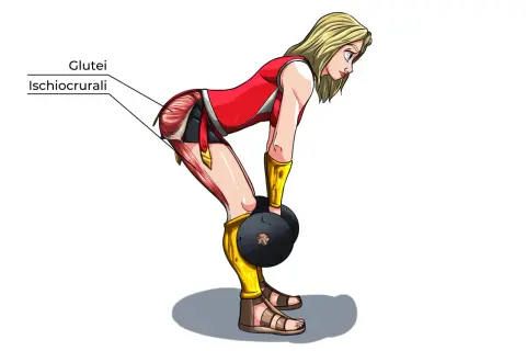 Donna in posa per stacchi a gambe tese, con muscoli glutei e ischiocrurali evidenziati.