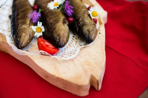 Gdzie zjeść w Ojcowie? Najlepsze restauracje w sercu parku