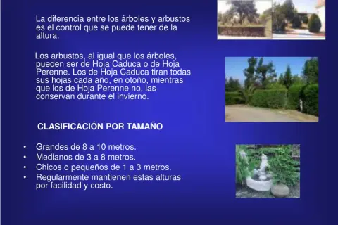 Qué significa arbustos: características y diferencias esenciales
