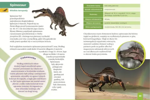 Ilustrowany atlas świata dinozaurów: Spinozaur, największy drapieżnik lądowy, z charakterystycznym żaglem na grzbiecie, przemierza brzeg wodny.