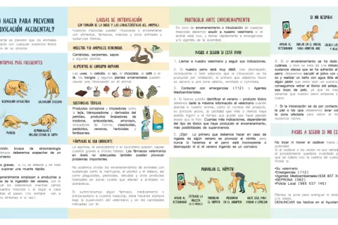 Ilustración muestra cómo actuar ante una intoxicación de perros, incluyendo síntomas, causas y qué hacer si el animal ingiere veneno.