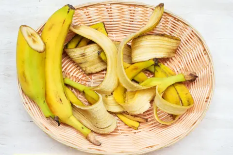 Jak rozcieńczać nawóz z banana? Proporcje 1:1 i 1:10