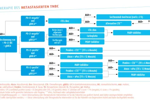 Therapiealgorithmus für metastasierten TNBC. Ein triple negativ Todesurteil kann durch verschiedene Therapien wie Sacituzumab Govitecan oder PARP-Inhibitoren behandelt werden.