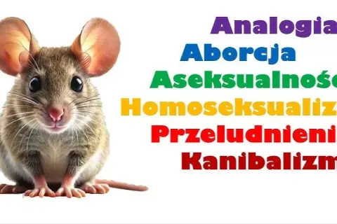 Eksperyment z myszami: Czy "Wszechświat 25" przewidział naszą przyszłość?