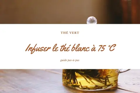 Infusion d'un thé vert délicat, le thé blanc s'épanouit à 75°C. Un guide pour savourer ce moment.