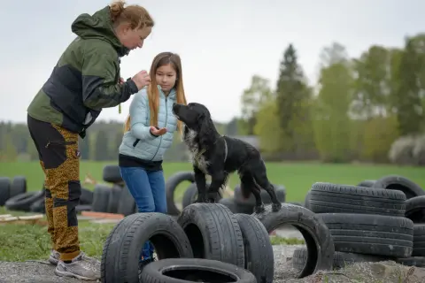 En hund som tränas utomhus, kanske för att inte vara en hund ensam hemma lag. En kvinna och en flicka ger godis.