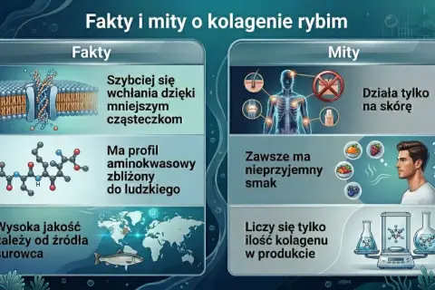 Fakty i mity o kolagenie rybim. Kolagen hydrolizowany szybko się wchłania, ma profil aminokwasowy zbliżony do ludzkiego, a jego jakość zależy od źródła.