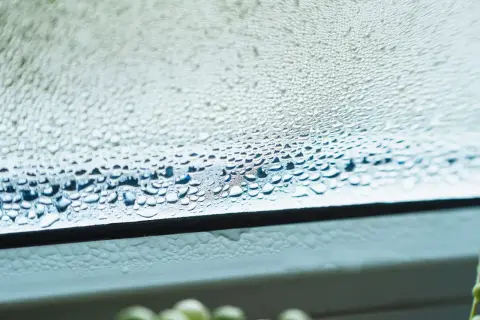 Zaparowane okna po nocy, z kroplami wody tworzącymi wzory na szybie. W tle widać fragment rośliny.