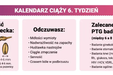 W którym tygodniu ciąży do lekarza? Twój plan pierwszej wizyty