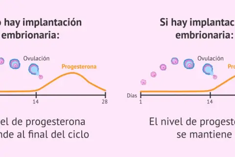 Gráfica muestra cómo el nivel de progesterona desciende si no hay implantación, pero se mantiene si hay implantación, clave para como aumentar la progesterona.