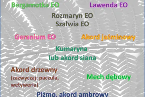 Zapach lawendy, bergamotki, jaśminu i innych nut zapachowych na tle paproci.
