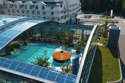 Relaks w basenie pod szklanym dachem w Kielcach Binkowski. Tropikalne rośliny, bar i jacuzzi tworzą wakacyjny klimat.