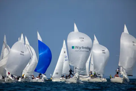 Regata con spinnaker gonfiati, tra cui uno blu acceso e uno bianco con logo Nybolig. Le barche competono in una giornata di sole.