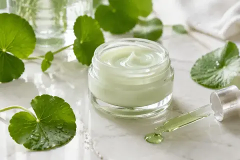Grüner Tiegel mit Cica-Creme und Pipette, umgeben von frischen Blättern. Cica ist bekannt für seine beruhigenden Eigenschaften.
