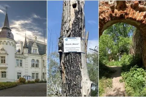 Najciekawsze atrakcje w Jelczu-Laskowicach, które warto poznać