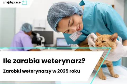 Weterynarz: jak nim zostać? Studia, kariera, zarobki 2026.