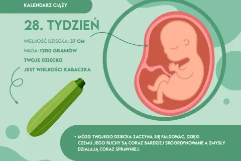 28. tydzień ciąży: 7. miesiąc i III trymestr co musisz wiedzieć?