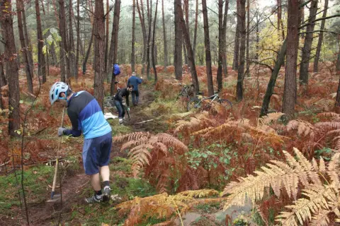 Des bénévoles en pleine action pour l'entretien d'un sentier de randonnée à Fontainebleau. Des vélos sont garés à proximité.