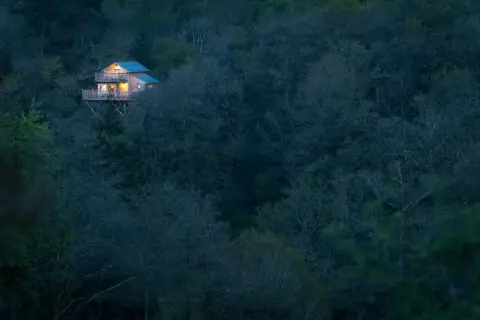 Un charmant **logement atypique en Bretagne**, perché au milieu d'une forêt dense et sombre, illuminé par des lumières chaudes.