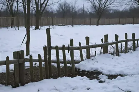 Drewniany płot z nierównymi słupkami, otoczony śniegiem i nagimi drzewami.