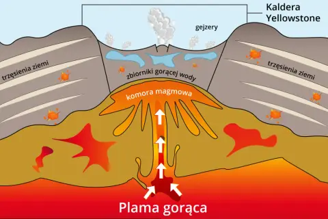Schematyczny przekrój przez kalderę Yellowstone. Widać plamę gorącą, komorę magmową, zbiorniki gorącej wody, gejzery, trzęsienia ziemi i wulkaniczne erupcje.