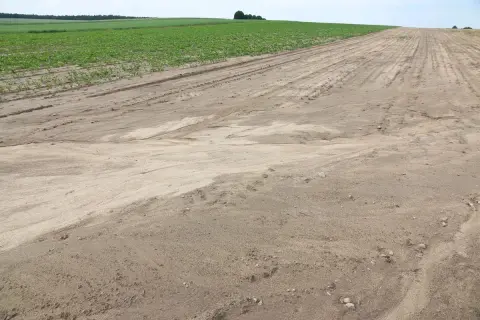 Widoczne ślady erozji gleby na piaszczystym polu, gdzie woda wypłukała wierzchnią warstwę, tworząc charakterystyczne prądy. Obok rośnie zielona uprawa.