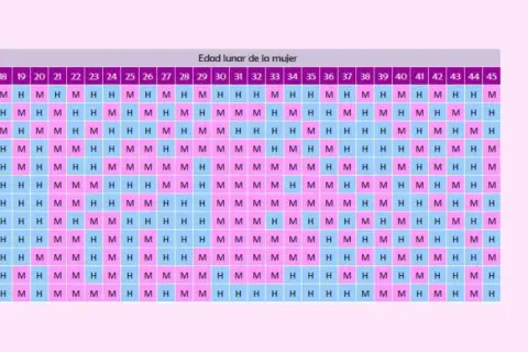 Calendario mensual 2026 para predecir el sexo del bebé. M para niña, H para niño.