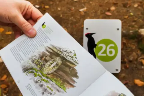 Un livret sur les oiseaux du parc de Loos, avec une illustration et un panneau indiquant le numéro 26 et un pic noir.