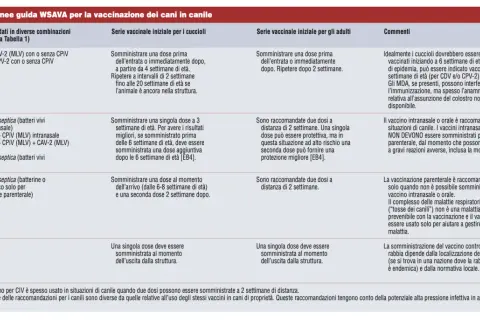 Guida vaccinazioni cani: cuccioli da 4 settimane, adulti da 6 settimane. Vaccini raccomandati per diverse età.