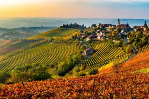 Colline dorate e arancioni dei vigneti nelle Langhe Monferrato, con un borgo arroccato e un campanile al tramonto.