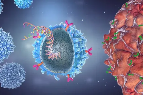 Immuntherapie in der Onkologie: T-Zelle greift Krebszelle an. Blaue T-Zellen umgeben eine Krebszelle, die von grünen Antikörpern markiert ist.