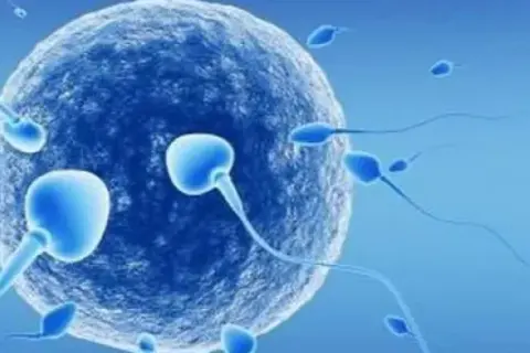 Czy dzieci z in vitro mają duszę? Kontrowersje i wierzenia w religiach