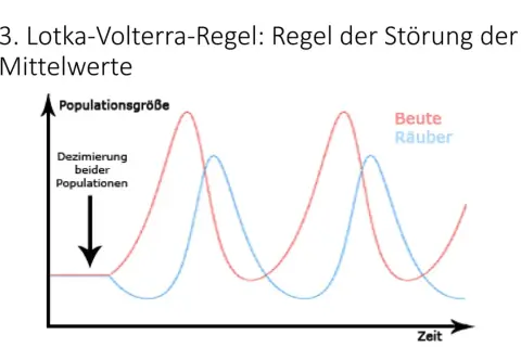 Lotka-Volterra-Modell: Räuber-Beute-Dynamik zeigt zyklische Schwankungen der Populationsgrößen.