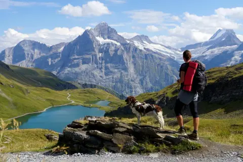 Wanderer mit Hund genießen atemberaubende Aussicht im Berner Oberland. Bergpanorama mit Seen und Gipfeln.