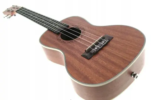 Brązowe ukulele instrument z czterema strunami, ozdobnym rozetą wokół otworu rezonansowego i białym bindingiem.