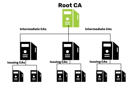Hierarchia public key infrastructure: Root CA na szczycie, poniżej Intermediate CAs, a na dole Issuing CAs.