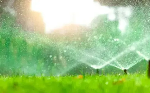 Jaki zraszacz kupić? Poradnik wyboru dla idealnego trawnika