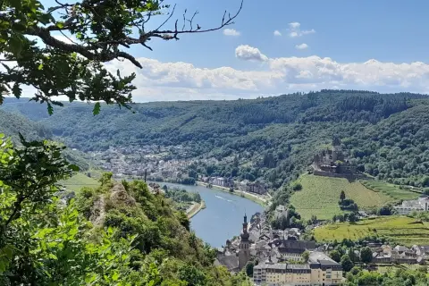 Blick vom Berg auf Cochem mit Reichsburg und Mosel. Perfekt für eine Wanderung.