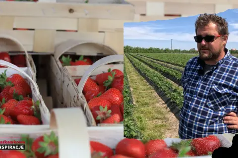 Kiedy jest sezon na truskawki w Polsce? Sprawdź daty i porady